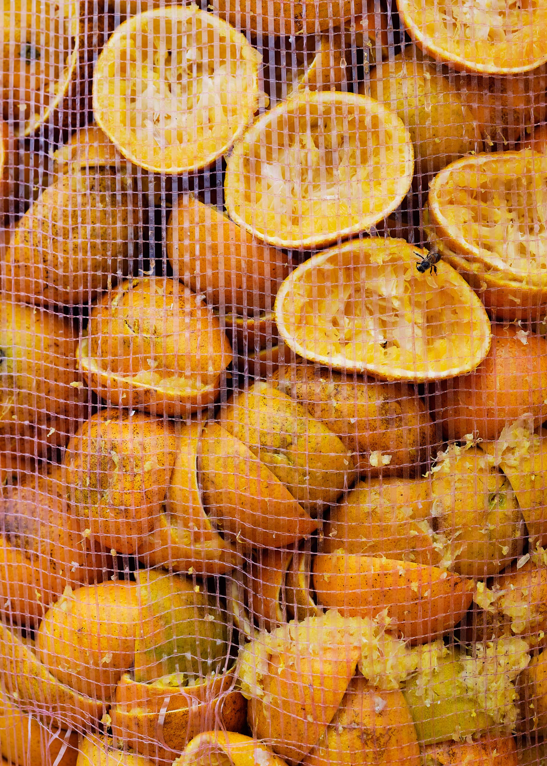 Cart vendor in CDMX selling oranges by travel photographer Nico Schinco. 