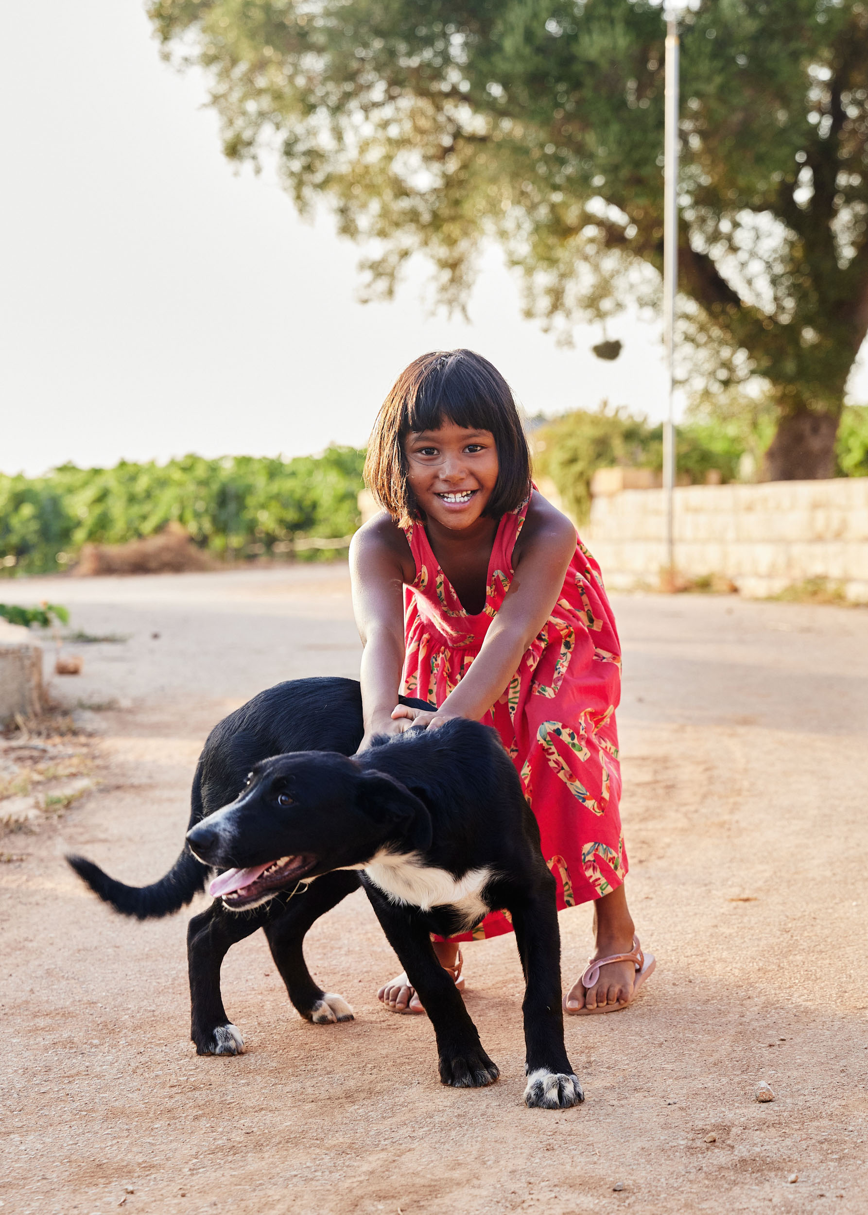 Girl and Dog in vineyard in Mallorca, Spain by photographer Nico Schinco