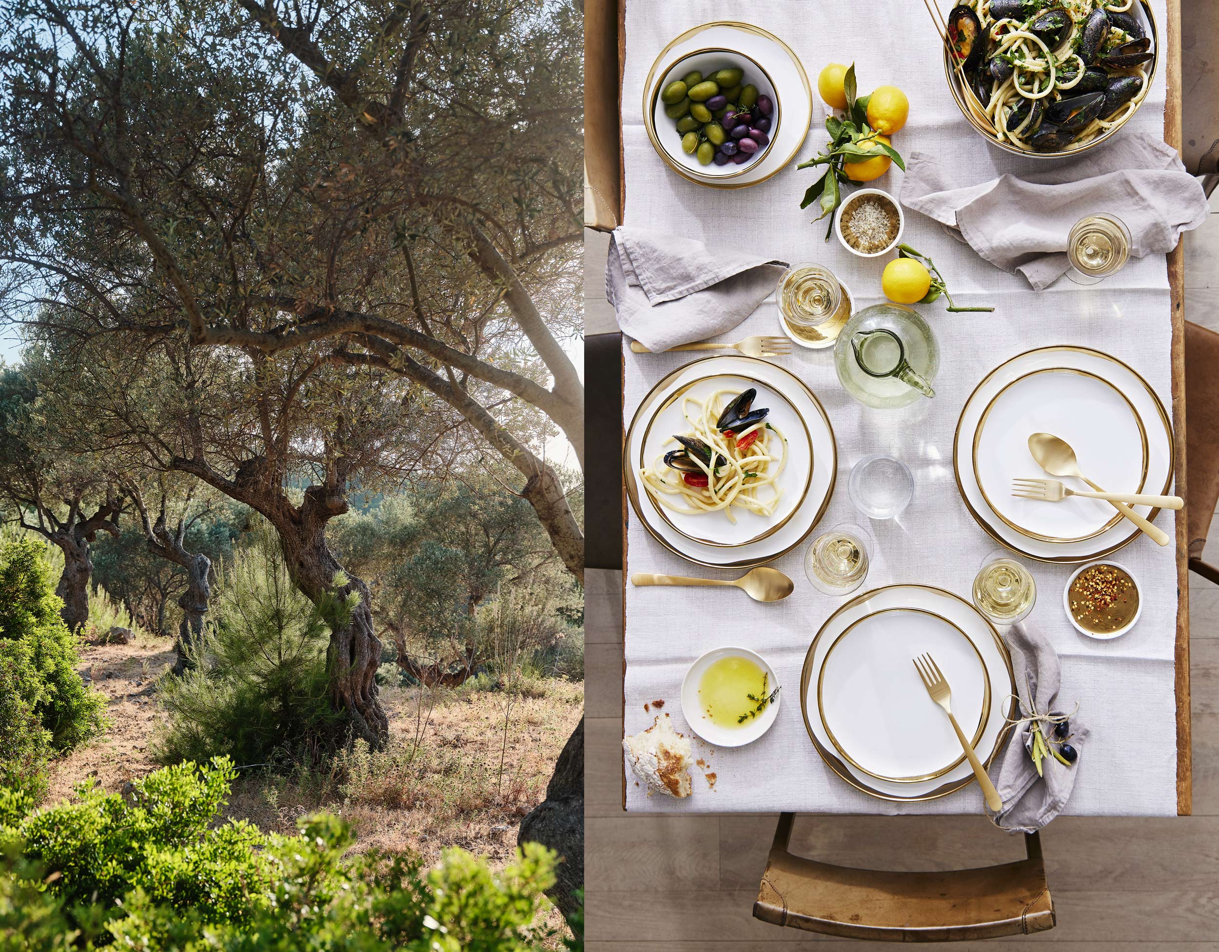 Olive groves in Mallorca, Spain and table setting by travel and still life photographer Nico Schinco. 